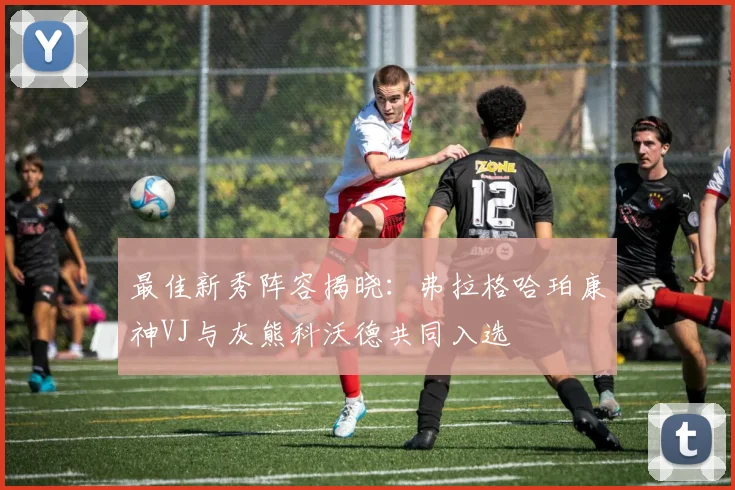 最佳新秀阵容揭晓：弗拉格哈珀康神VJ与灰熊科沃德共同入选
